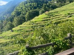 -石台牯牛降景区