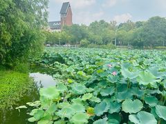-美兰湖景区