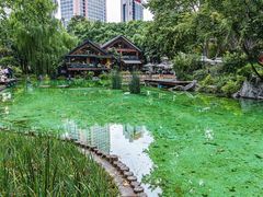 -静安公园(静安寺街道)