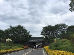 -白鹭湾湿地公园