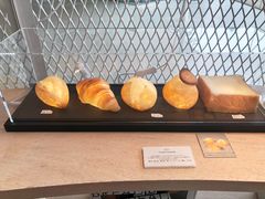 -金泽21世纪美术馆