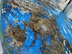 -清水湾3号(东方小周海鲜店)