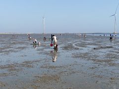 -渔民船说·北塘海鲜·天津菜·海肠捞饭(北塘古镇店)
