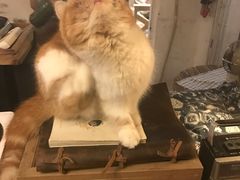 -懒鱼时光馆(沙坪坝店)