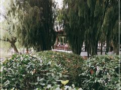 -瀛洲公园