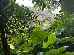 -广州市白云山风景名胜区