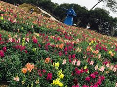 -广州市流溪河国家森林公园
