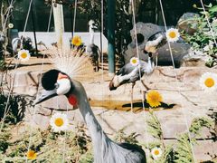 景点-大连森林动物园