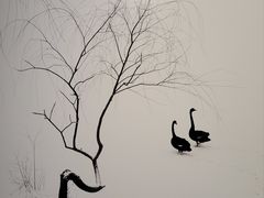 -罗红摄影艺术馆