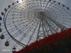 -琴岛之星摩天轮