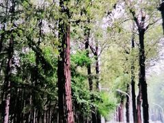 -长春市南湖公园