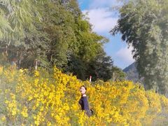 -广州市石门国家森林公园