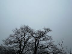-永州阳明山国家森林公园