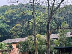 -天怡·鱼工厂(梅溪湖店)