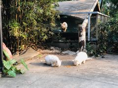 -车公庙(地铁站)