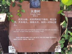 -青州市云门山风景区