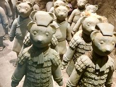 -济州岛泰迪熊博物馆