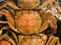 -一只虾·小龙虾·烧烤·肉蟹煲(同泰时代广场店)