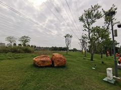 -王借岗森林公园