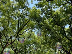 -共青国家森林公园-售票处