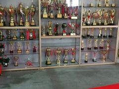 -长春乐奇平衡车儿童体能运动中心