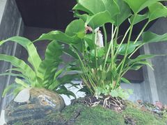 -临家闽南菜(翔安店)