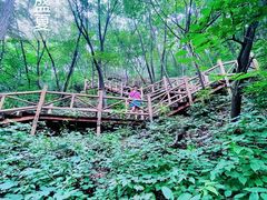 -大岭沟猕猴桃谷风景区