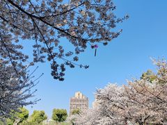 -堤角公园