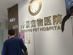 -丹景宠物医院·全科·老年病·牙科(武昌诊疗中心)