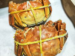 -黄记大闸蟹专卖店·活蟹·醉蟹