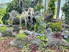 -国家植物园南园