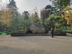 景点-莲湖公园