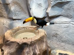 -Zoolung Zoolung动物主题公园(海信广场店)