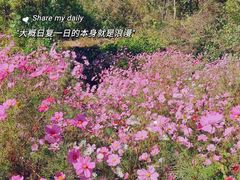 -周口店坡峰岭风景区
