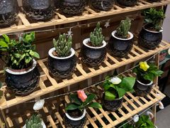 -海底捞火锅(奥体南路店)