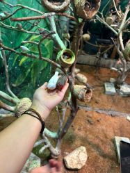 -Zoolung Zoolung动物主题公园(海信广场店)