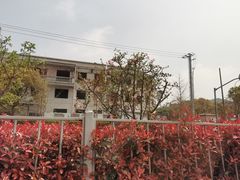 -安飞驰驾校·学车连锁(金高店)