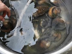 -老卜奎齐齐哈尔烤肉(人民东路店)