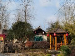 -合肥滨湖国家森林公园