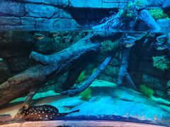 -沈阳海洋探索中心