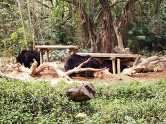 -广州长隆旅游度假区