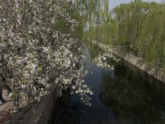 -海棠花溪(元大都城垣遗址公园)