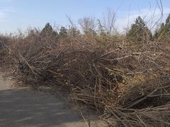 -河北省第三届（邢台园博园）园林博览会
