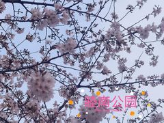 -睦南公园