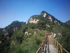 -大岭沟猕猴桃谷风景区