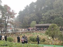 -韶山毛泽东同志故居