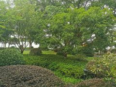 -浙江西子宾馆·牡丹厅