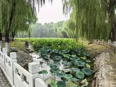 -东升八家郊野公园