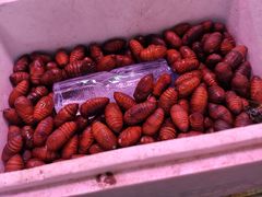 -锦绣大地生鲜食品厅(巨山路店)