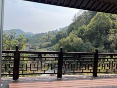 -十八棵（老龙井）御茶园(老龙井店)